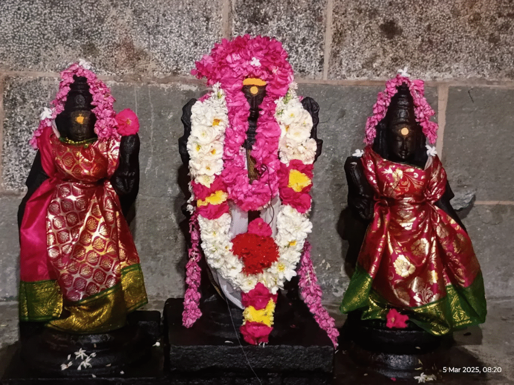 திருமுல்லைவாயில் கொடியுடையம்மன்
