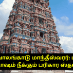 திருவாலங்காடு மாந்தீஸ்வரர்: மாந்தி தோஷம் நீக்கும் பரிகார ஸ்தலம்