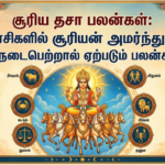 சூரிய தசா பலன்கள்:12 ராசிகளில் சூரியன் அமர்ந்து தசா நடைபெற்றால் ஏற்படும் பலன்கள்