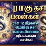 ராகு தசா பலன்கள்:ராகு 12 வீடுகளில் அமர்ந்து தசா நடைபெற்றால் ஏற்படக்கூடிய பலன்கள்