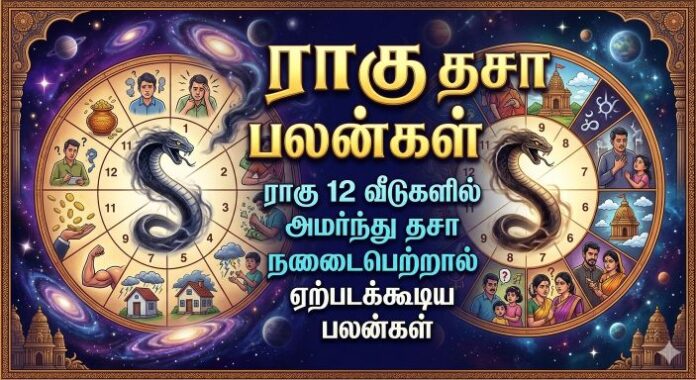 ராகு தசா பலன்கள்