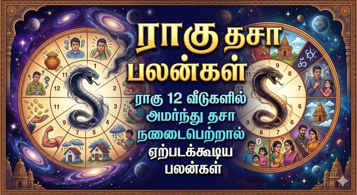ராகு தசா பலன்கள்