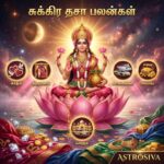 சுக்கிர தசா பலன்கள்