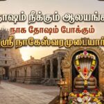 தோஷம் நீக்கும் ஆலயங்கள்:நாக தோஷம் போக்கும்(ஸ்ரீ நாகேஸ்வரமுடையார்)