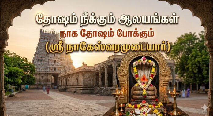 நாக தோஷம் போக்கும்(ஸ்ரீ நாகேஸ்வரமுடையார்)