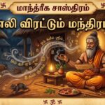 மாந்த்ரீக சாஸ்திரம் :எலி விரட்டும் மந்திரம்