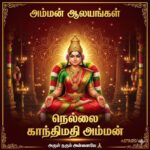 அம்மன் ஆலயங்கள்:நெல்லை காந்திமதி அம்மன்