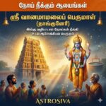 நோய் நீக்கும் ஆலயங்கள்:ஸ்ரீ வானமாமலைப் பெருமாள்(நாங்குனேரி)