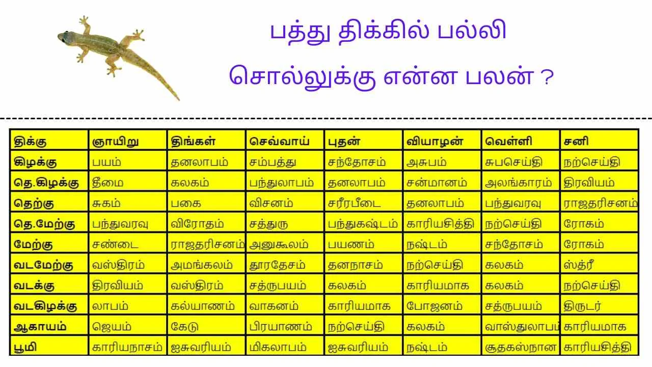 பல்லி விழும் பலன்