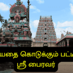 விரும்பியதை கொடுக்கும் பட்டீஸ்வரம் ஸ்ரீ பைரவர்