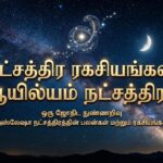 நட்சத்திர ரகசியங்கள்:ஆயில்யம் நட்சத்திரம்
