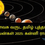விசுவாவசு வருட தமிழ் புத்தாண்டு பலன்கள் 2025: கன்னி ராசி
