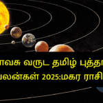 விசுவாவசு வருட தமிழ் புத்தாண்டு பலன்கள் 2025:மகர ராசி