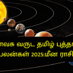 விசுவாவசு வருட தமிழ் புத்தாண்டு பலன்கள் 2025:மீன ராசி
