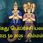 ராகு கேது பெயர்ச்சி பலன்கள் 2025 to 2026 : சிம்மம்