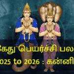 ராகு கேது பெயர்ச்சி பலன்கள் 2025 to 2026 : கன்னி