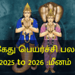 ராகு கேது பெயர்ச்சி பலன்கள் 2025 to 2026 :மீனம்