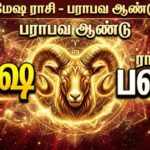 பராபவ தமிழ் புத்தாண்டு பலன்கள் 2026: மேஷ ராசி